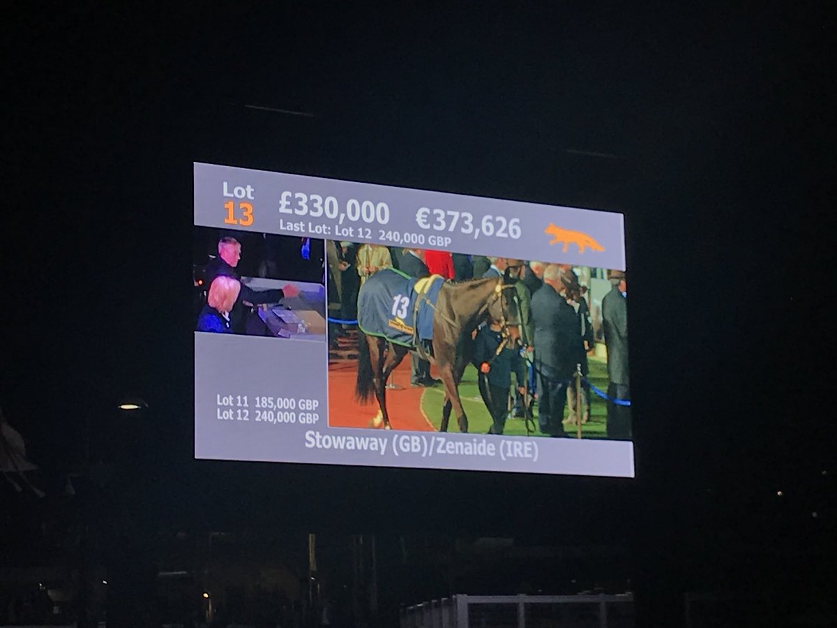 Read more about the article Wexford Handlers Dominate Cheltenham Sale