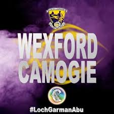 Read more about the article Wexford camogie make major stand