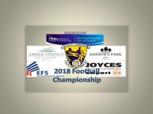 Read more about the article Shelmaliers off to a winner