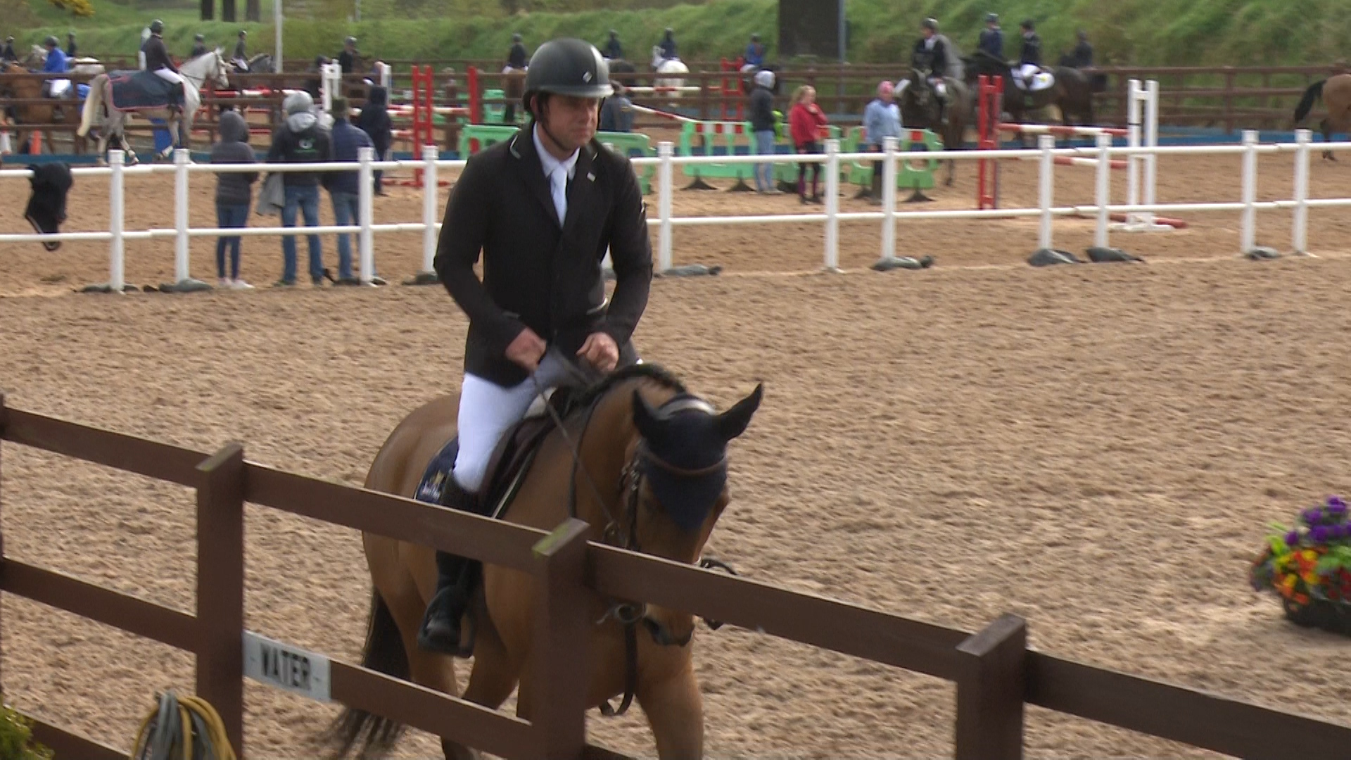 You are currently viewing Showjumping- Steven Smith & Luxie B share 5yo final