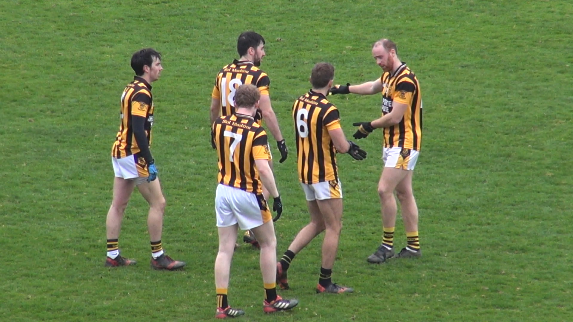 Read more about the article Shelmaliers shake off Taghmon