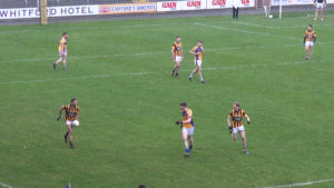 Read more about the article Video Highlights- Shelmaliers v Taghmon-Camross