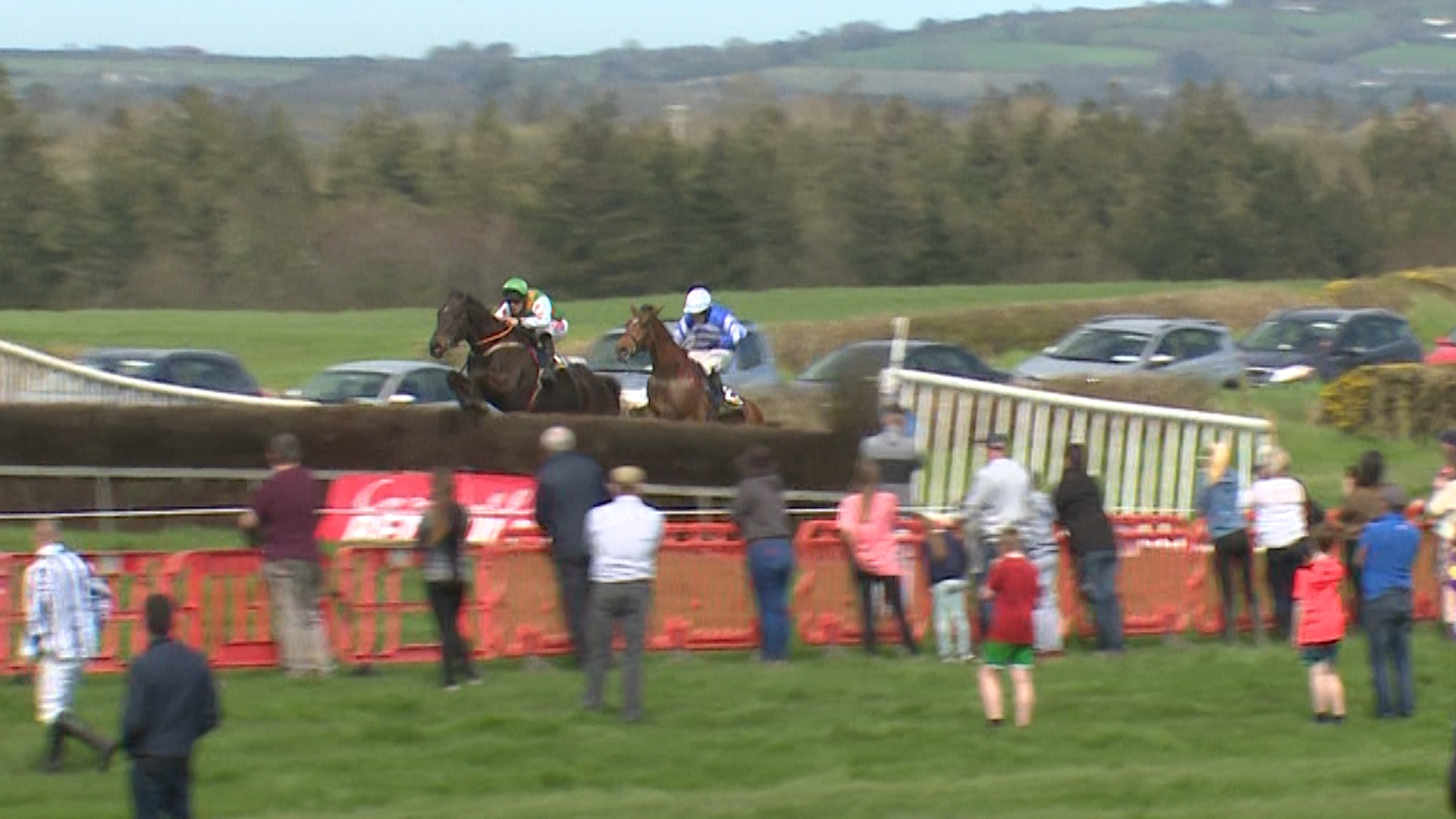 Read more about the article Punchestown Sale- Quick return for local handlers