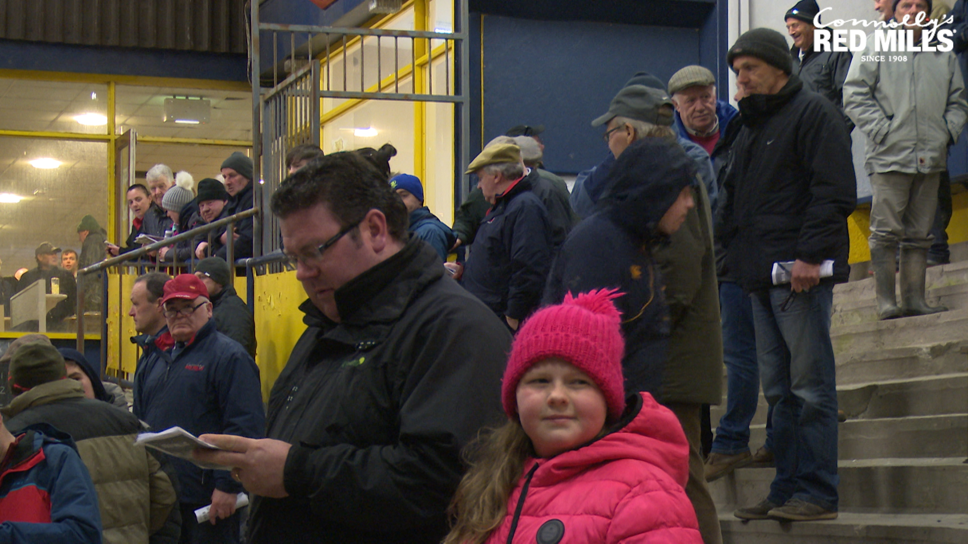 Read more about the article Greyhound Racing- Ninja Burgess Wins RED MILLS Unraced