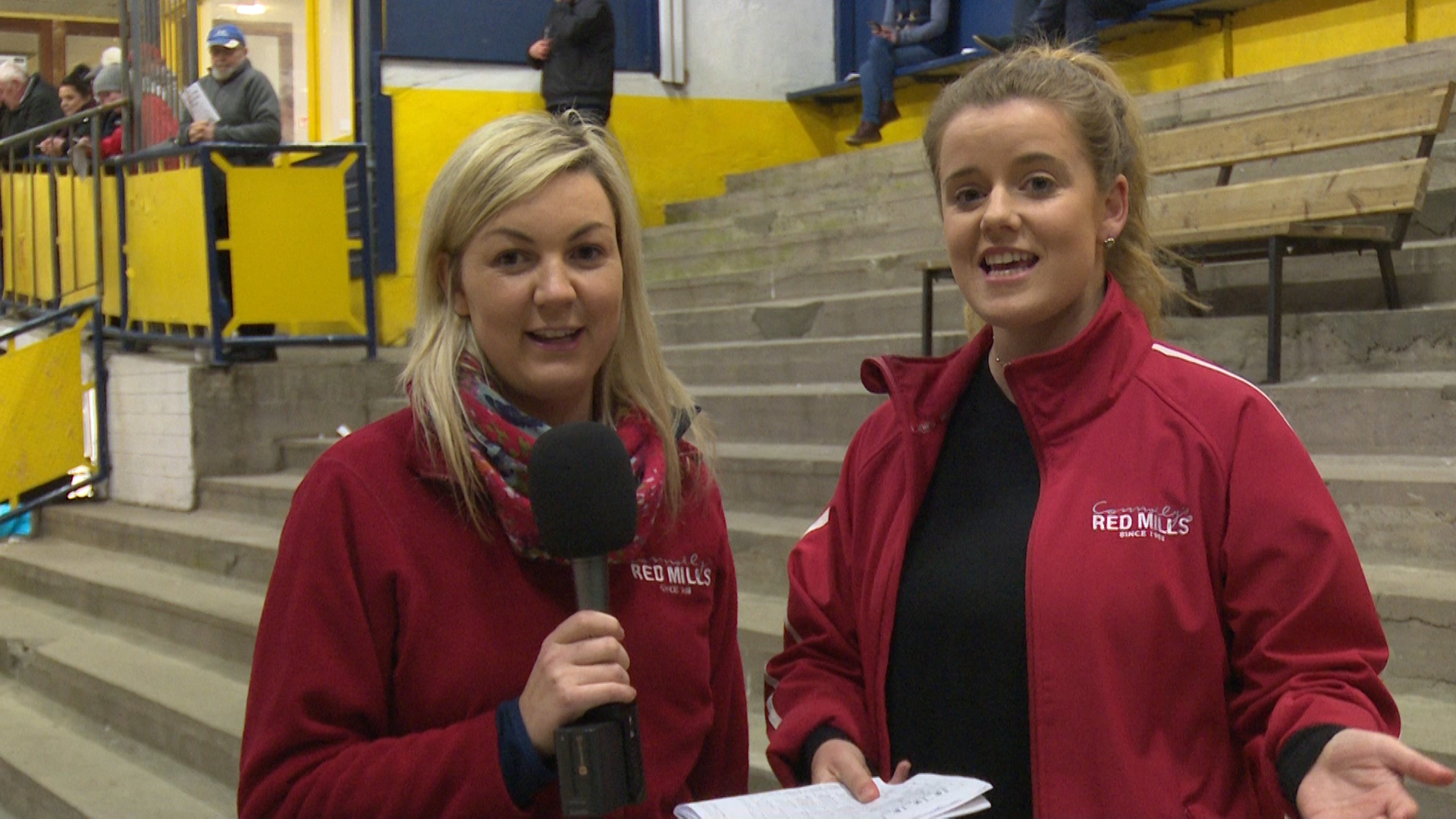 Read more about the article GREYHOUND RACING- Enniscorthy Semi-Finals