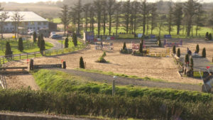 Read more about the article Eventing- Stepping Stones To Success Week 4