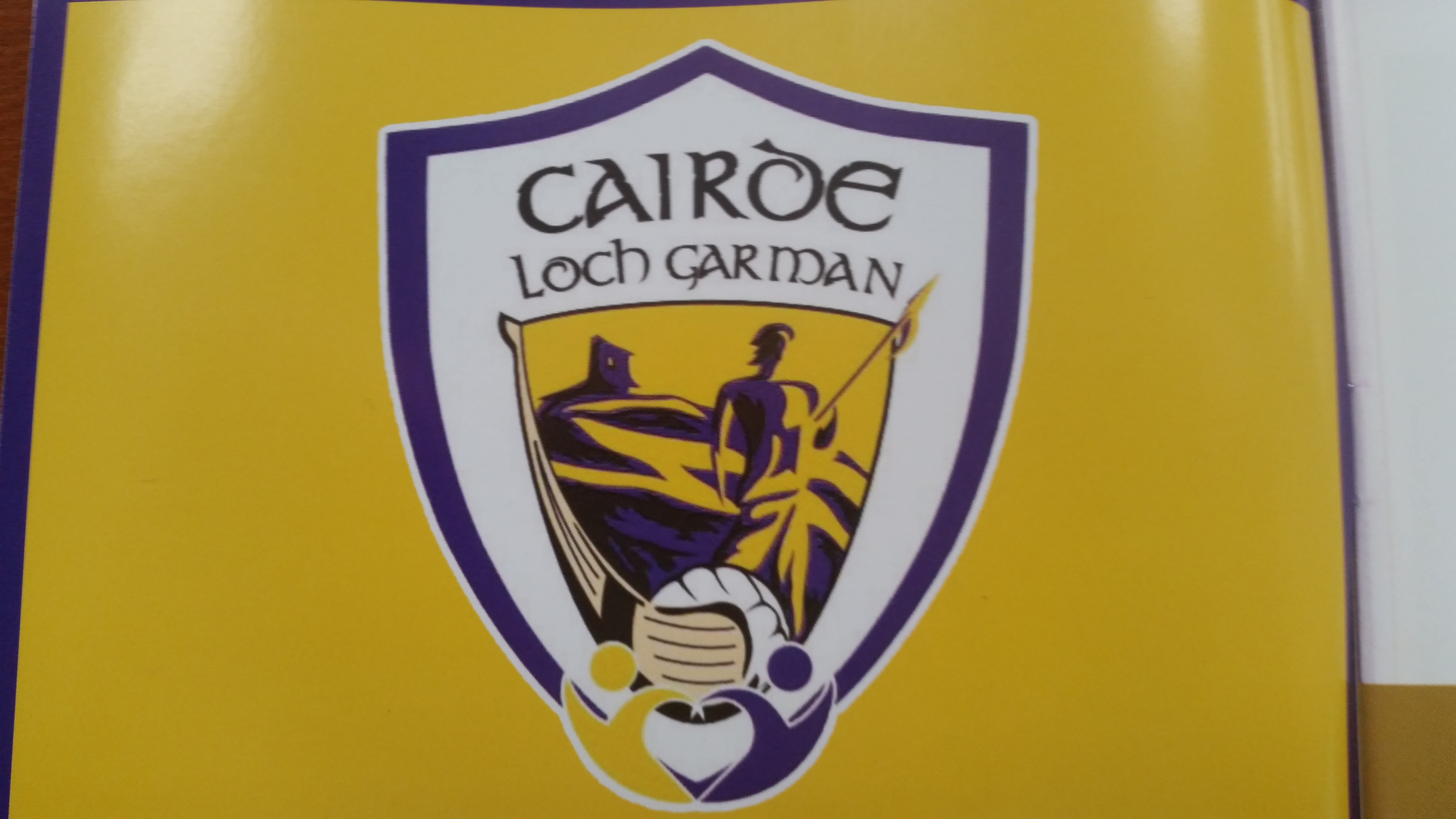 Read more about the article New venture for GAA supporters