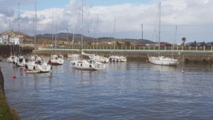 Read more about the article Courtown Harbour welcomes all visitors