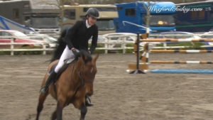 Read more about the article Showjumping- Patrick Hickey best placed of local riders