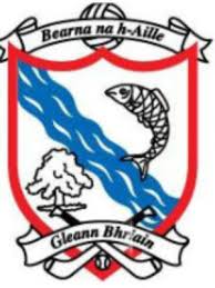 Read more about the article Casey steers Oylegate past Ferns