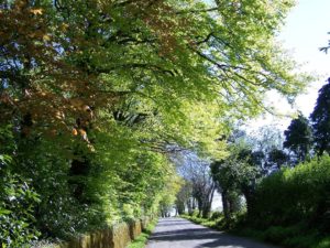 Read more about the article 14 Wexford rural roads receive upgrade funding