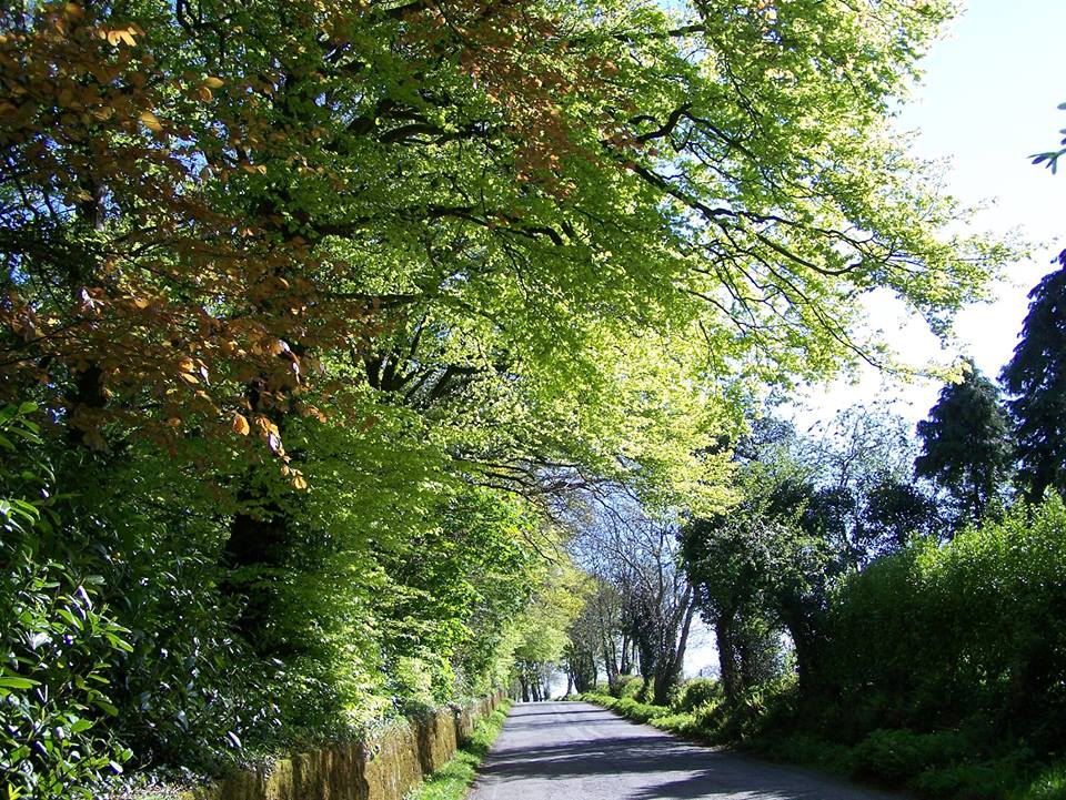 Read more about the article 14 Wexford rural roads receive upgrade funding