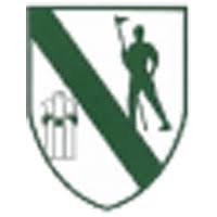 Read more about the article Crossbar helps Volunteers edge Craanford