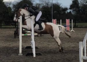 Read more about the article Sport Pony Challenge- Tomhaggard Girl Qualifies