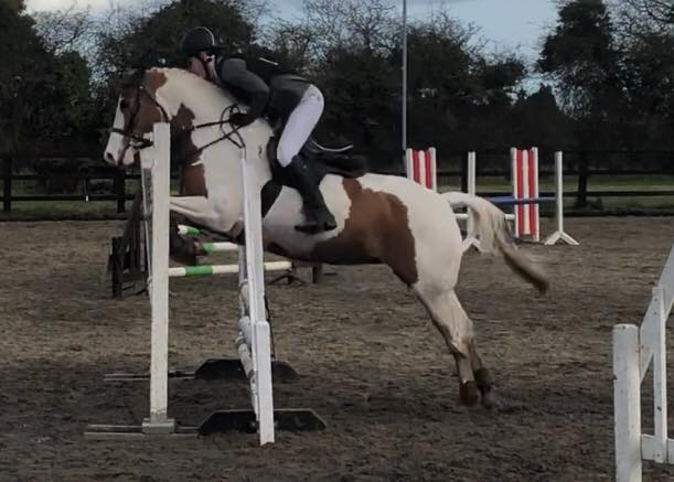 Read more about the article Sport Pony Challenge- Tomhaggard Girl Qualifies