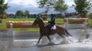Read more about the article Horse Sport Ireland “Breeding Seminar” in Gorey