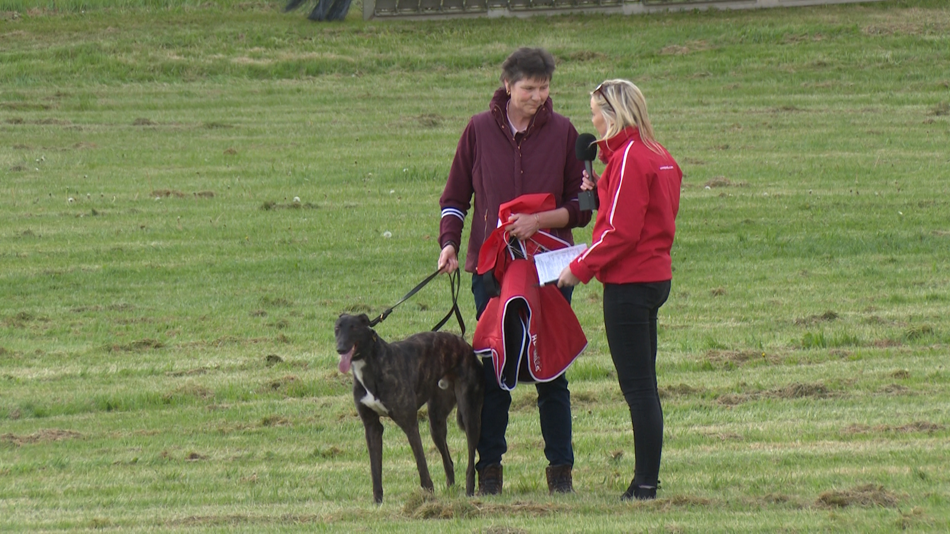 You are currently viewing Greyhound Racing- Cushie Jet to keep unbeaten tag on Sunday night