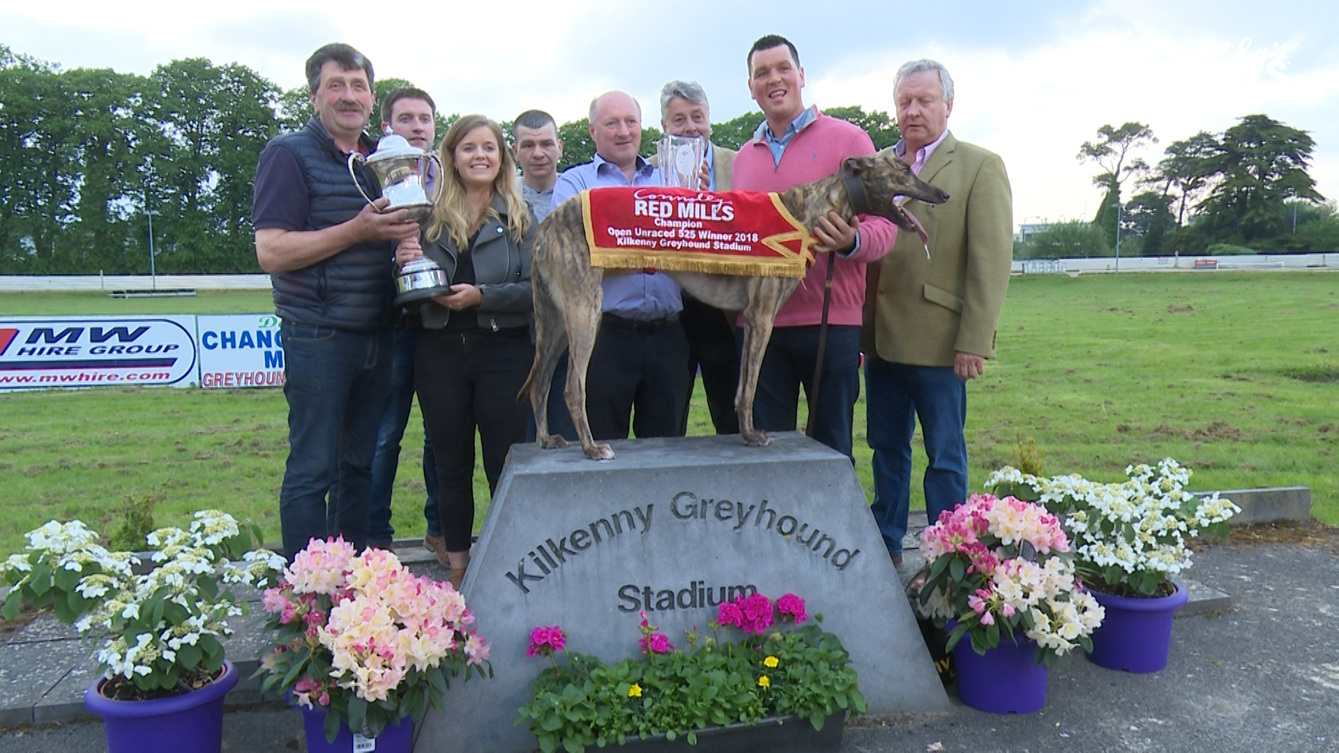 Read more about the article Greyhound Racing- No joy for Cushie in the Champion Unraced at Kilkenny