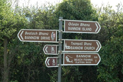 Read more about the article Wexford included in evening bus pilot scheme