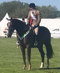 You are currently viewing MHS Charlie Fox wins 4yo Champion Hunter at Balmoral Show for Aubrey Chapman