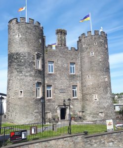 Read more about the article Vinegar Hill at centre of Enniscorthy Archaeological 3-Day Conference