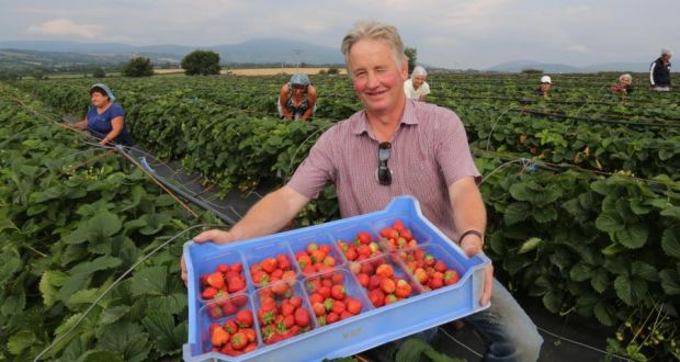 Read more about the article Wexford farmers concerned about 20% fuel hike