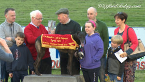Read more about the article Greyhound Racing- Caim dog wins Kilkenny Marathon