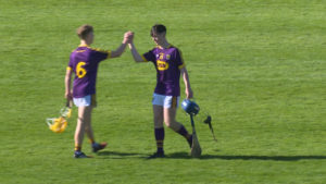 Read more about the article Video Highlights- Wexford beat Laois in Minor Hurling