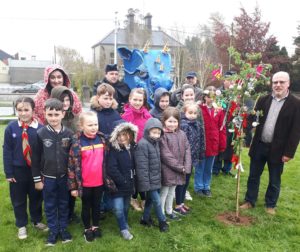 Read more about the article Gorey’s new May Bush celebrates the summer!