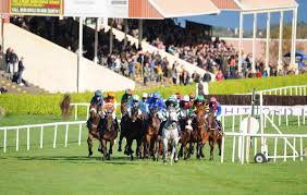 Read more about the article Wexford races get under way at 6 o’clock