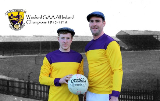You are currently viewing Celebrating the golden era of Wexford football