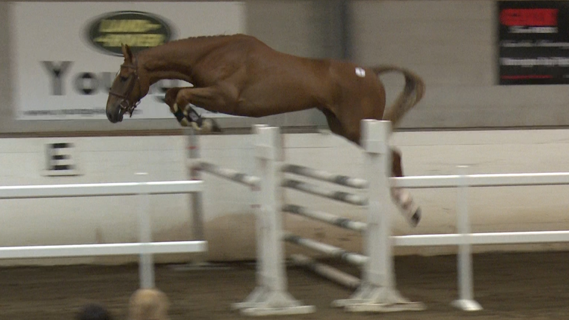 Read more about the article Potential Event Horse qualifier at Barnadown this evening