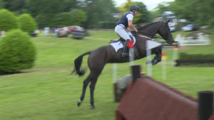 Read more about the article Good day for Wexford horses at Tullylish in YES