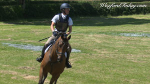 Read more about the article Wexford bred horse impresses at Rincoola