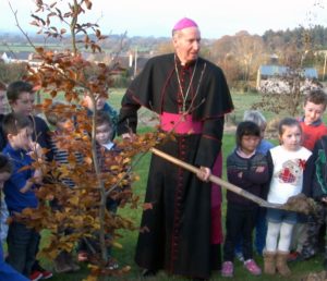 Read more about the article Super Sunday celebrations in Monageer