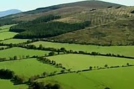 Read more about the article Major forest fire on Coolmeelagh Hill