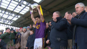 Read more about the article Wexford are a big price to topple Kilkenny