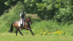 Read more about the article Two Wexford riders book their Dublin tickets