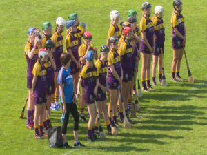 Read more about the article Wexford lose out to Cork in camogie