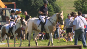 Read more about the article Gorey Agricultural Show set to draw the crowds