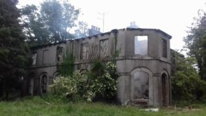 Read more about the article Historic Gorey house gutted in massive blaze