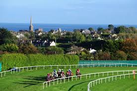 Read more about the article Water for the horses at Wexford Races