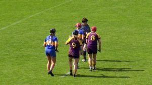 Read more about the article Video Highlights – Wexford v Tipperary