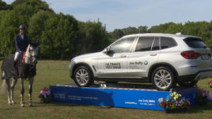 Read more about the article Showjumping- Sophie Wins Summer Tour