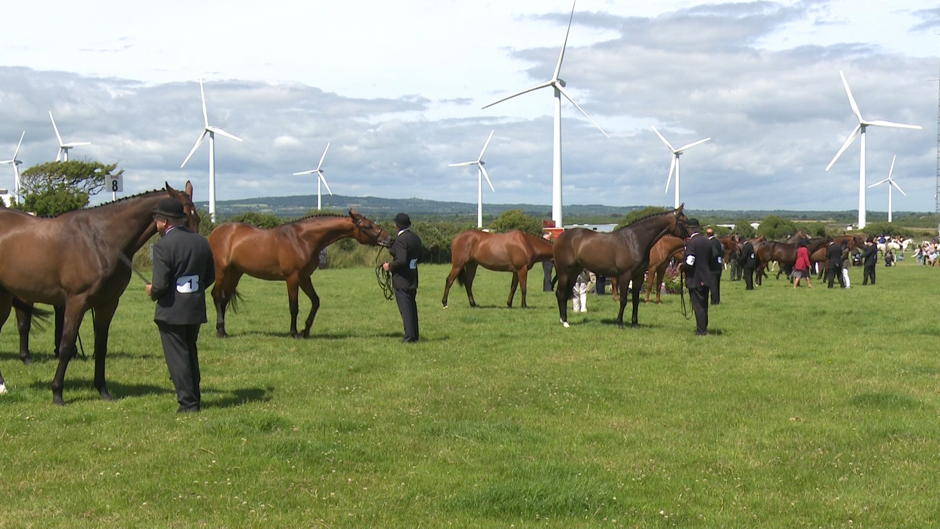 Read more about the article Large crowds expected at Killag Show