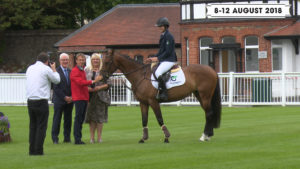 Read more about the article Dublin Horse Show Launched