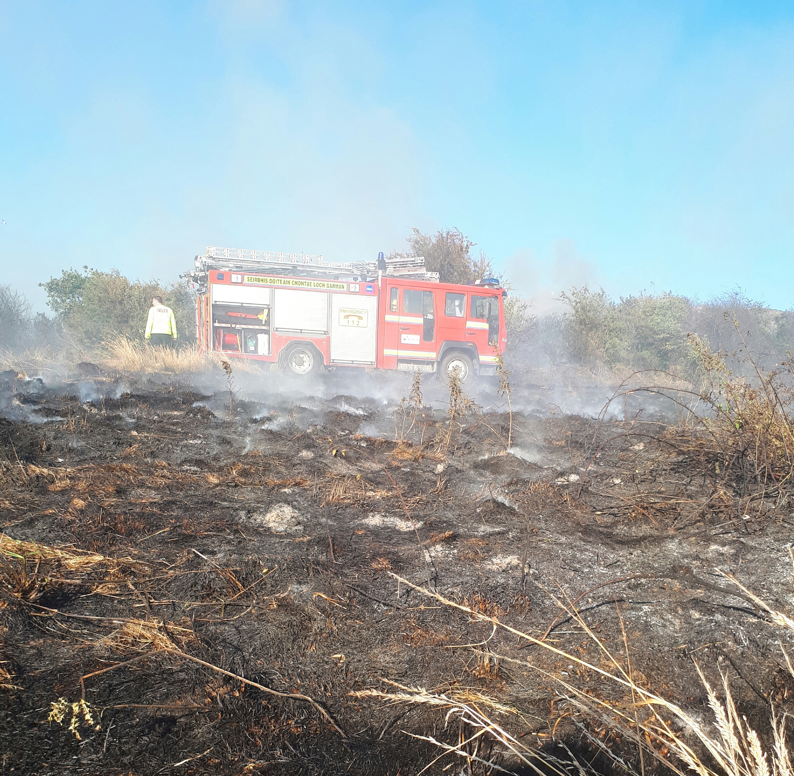 Read more about the article Heather blazing again this evening on Vinegar Hill