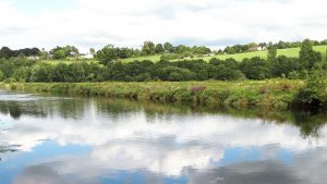 Read more about the article “Good news for hard pressed Wexford farmers”