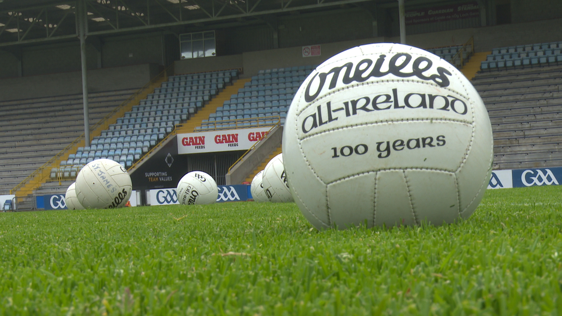 Read more about the article Wexford suffer 7 point defeat to Waterford