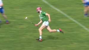 Read more about the article Two All-Star nominations for Wexford